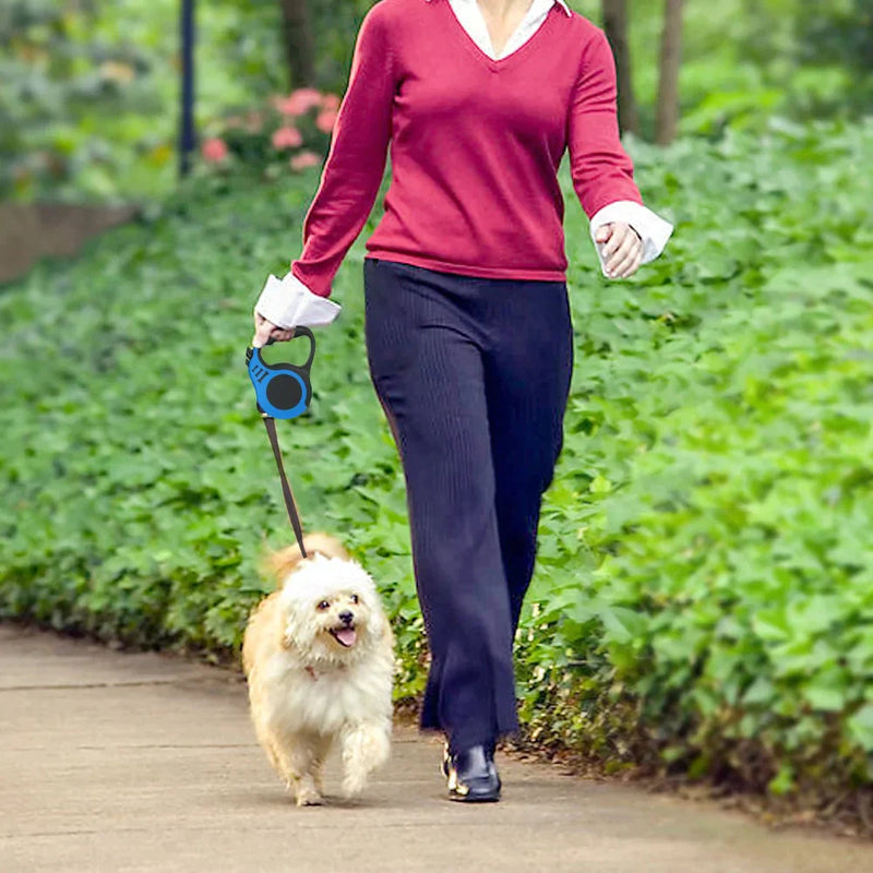 Coleira para cães - Loja Home Utilidades