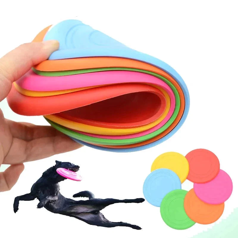 Disco de silicone - brinquedo para pet - Loja Home Utilidades