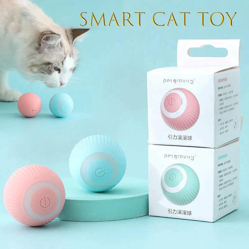 Bolinha interativa para gatos - Loja Home Utilidades