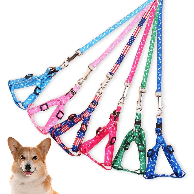 Coleira para cães - Loja Home Utilidades