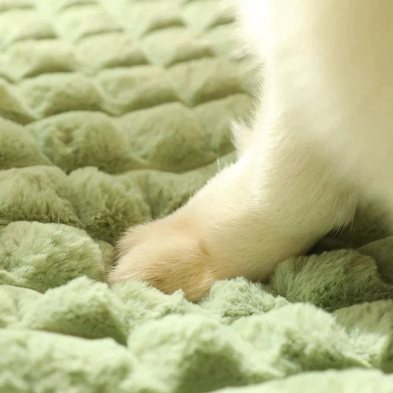 Cama comfort para pet - Loja Home Utilidades