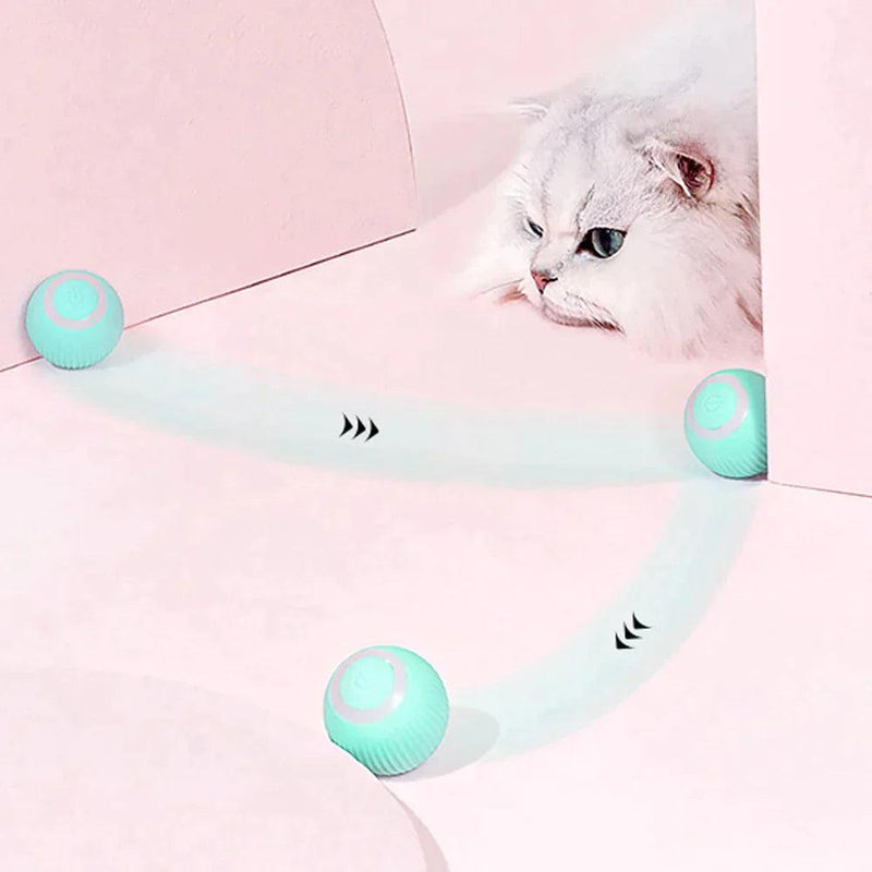 Bolinha interativa para gatos - Loja Home Utilidades