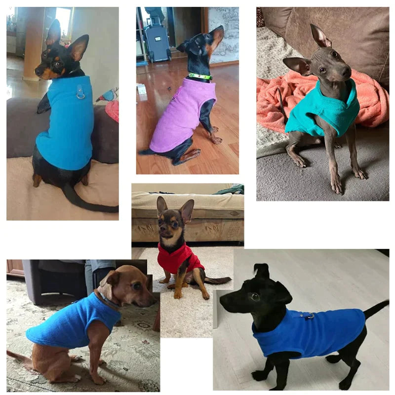 Roupinha para cães - Loja Home Utilidades