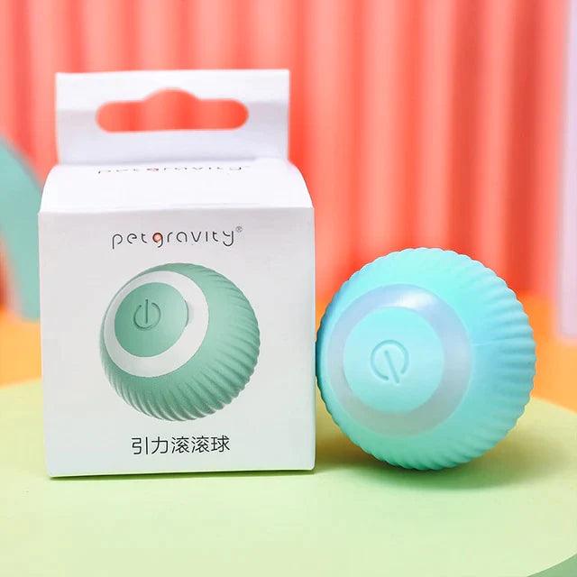 Bolinha interativa para gatos - Loja Home Utilidades